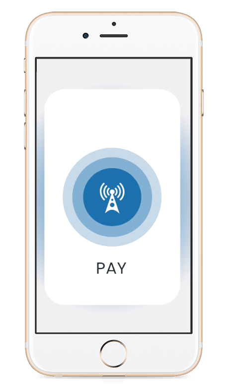 Picture of generic payment interface in phone to show DV Pass solution
