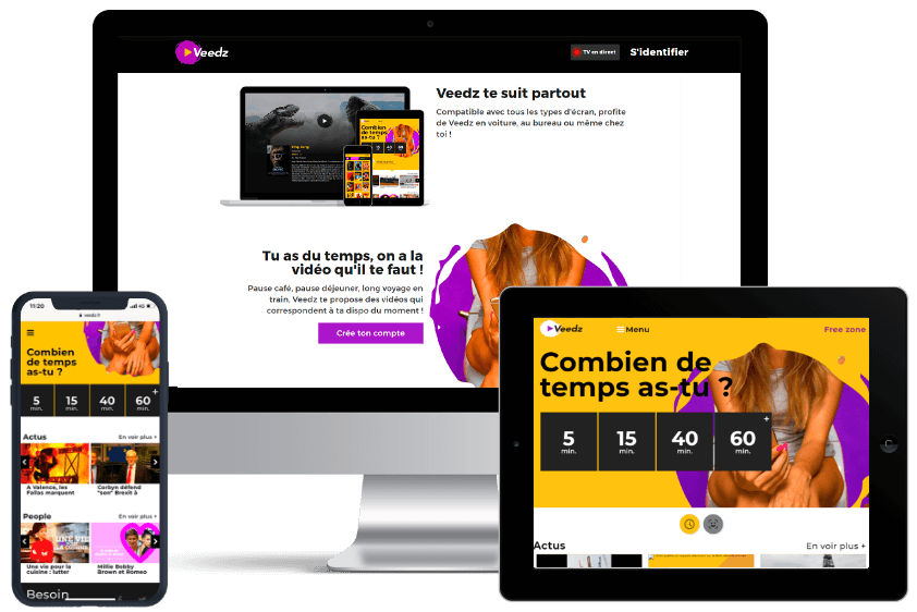 Veedz product interface
